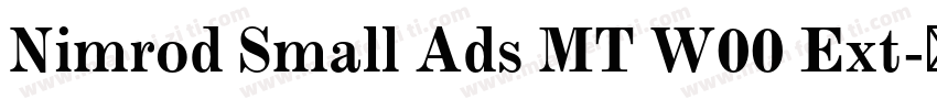 Nimrod Small Ads MT W00 Ext字体转换
